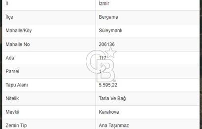 İZMİR BERGAMA SÜLEYMANLI 5.600 m2 SATILIK TARLA