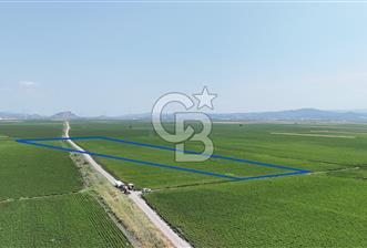 İZMİR BERGAMA YENİKÖY 23.276 m2 SATILIK TARLA