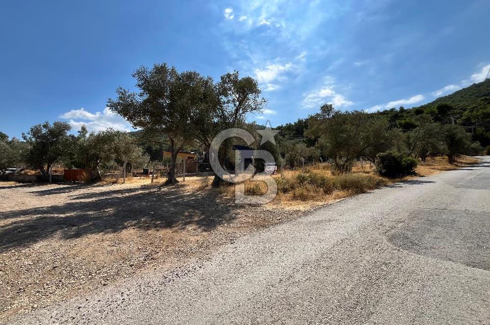 Çeşmealtı Güvendik Mah. Muhteşem Konumlu Arsa