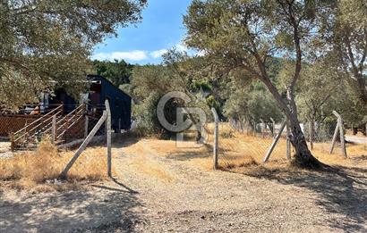 Çeşmealtı Güvendik Mah. Muhteşem Konumlu Arsa