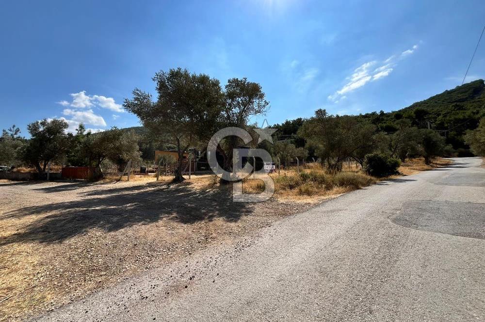 Çeşmealtı Güvendik Mah. Muhteşem Konumlu Arsa