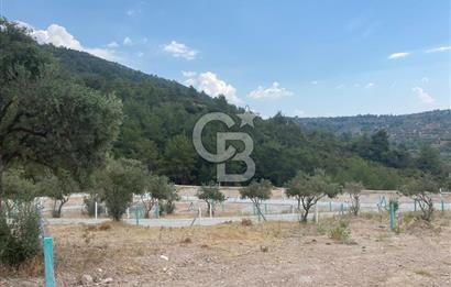 BUCA KIRKLARDA 328M2 ARSA İÇİNDE 100M2 EVİ OLAN SATILIK BAHÇE