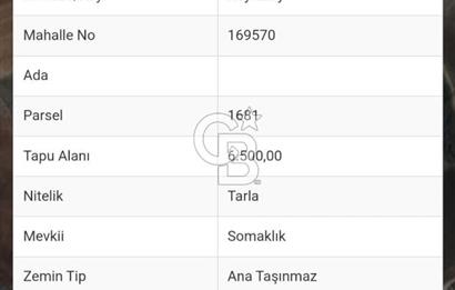 BALIKESİR ALTIEYLÜL/KÖYLÜKÖY MH.'DE ŞAHANE KONUMDA 6.500M² TARLA