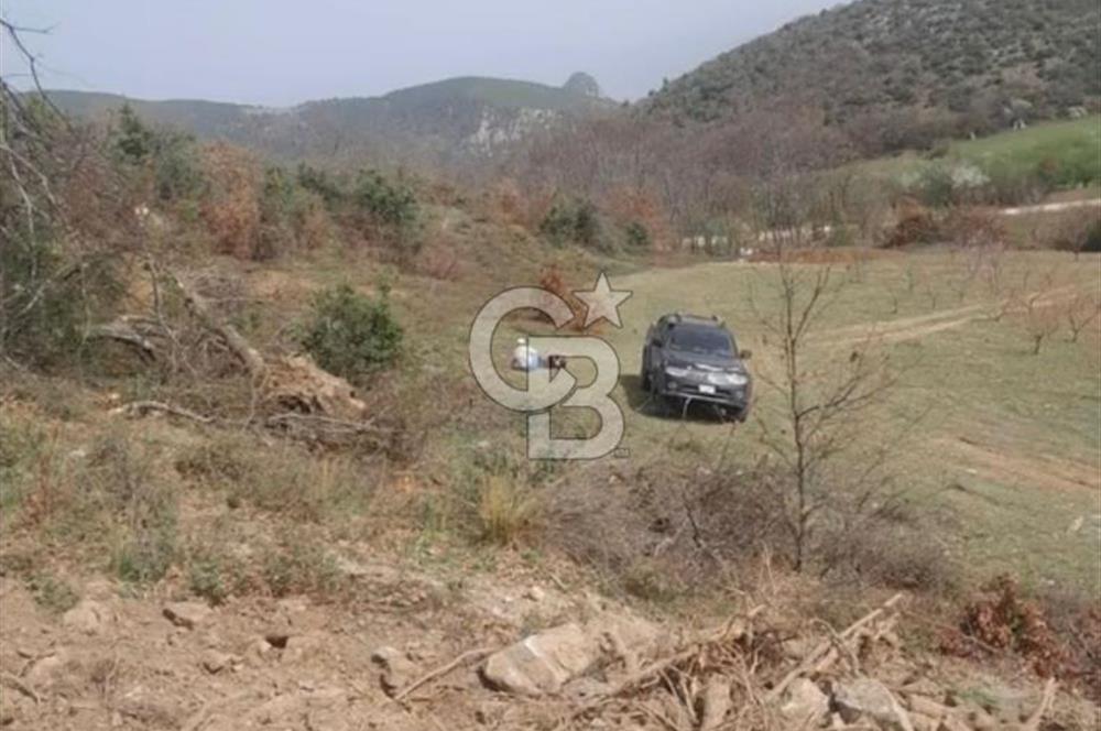 Çerkeş Göleti Manzaralı Satılık Arsa