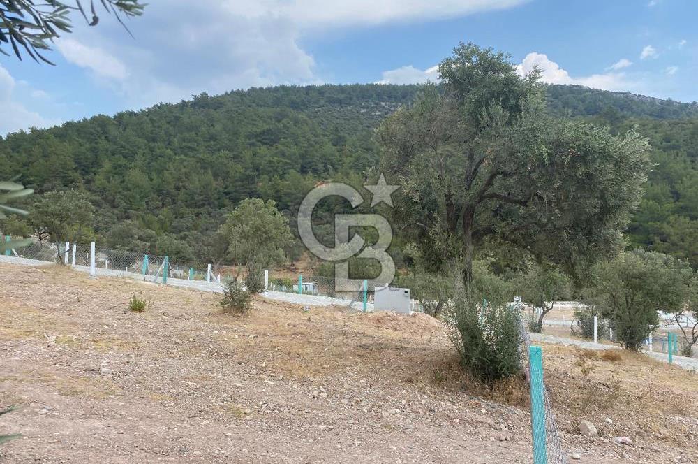 BUCA KIRKLARDA 328M2 ARSA İÇİNDE 100M2 EVİ OLAN SATILIK BAHÇE