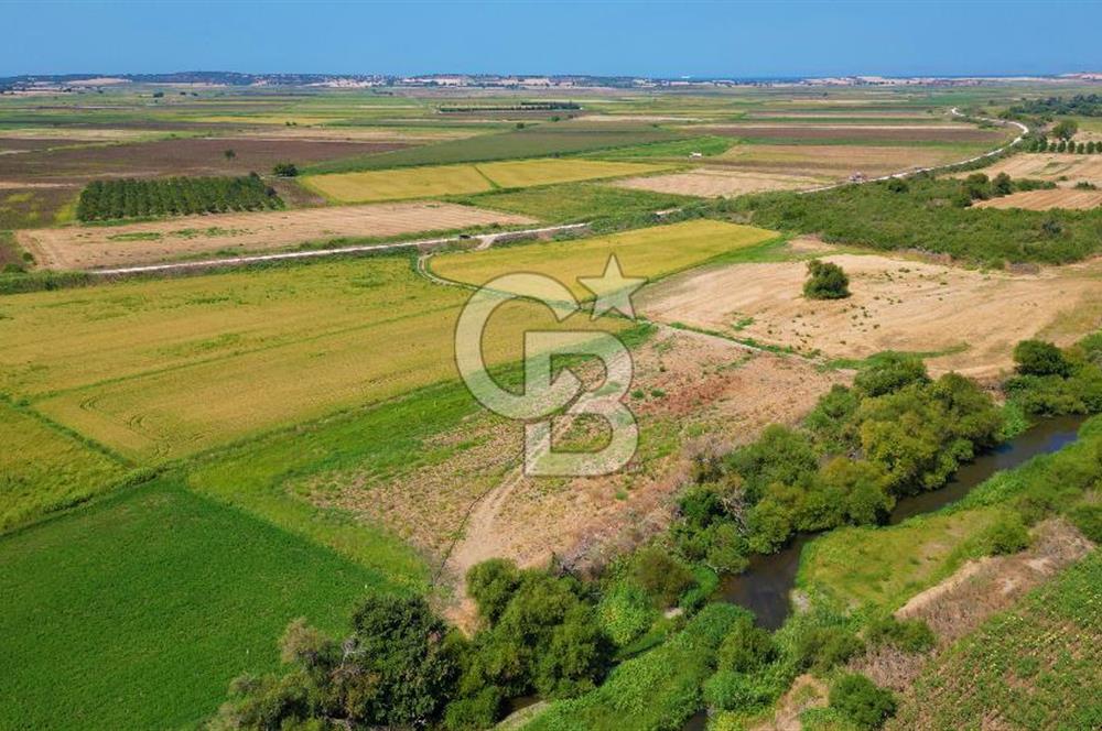 ÇANAKKALE MERKEZ KALAFAT KÖYÜNDE MÜSTAKİL TAPU SATILIK  6266 M2 TARLA