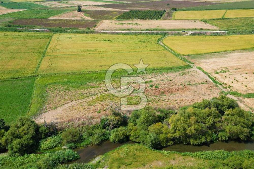 ÇANAKKALE MERKEZ KALAFAT KÖYÜNDE MÜSTAKİL TAPU SATILIK  6266 M2 TARLA