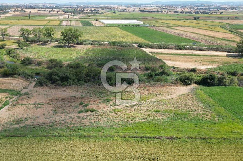 ÇANAKKALE MERKEZ KALAFAT KÖYÜNDE MÜSTAKİL TAPU SATILIK  6266 M2 TARLA