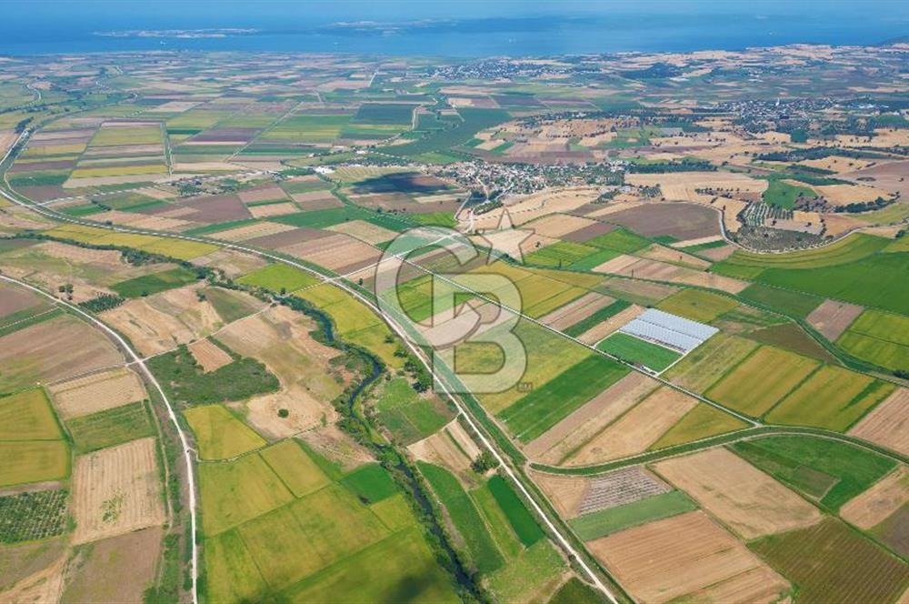 ÇANAKKALE MERKEZ KALAFAT KÖYÜNDE MÜSTAKİL TAPU SATILIK  6266 M2 TARLA