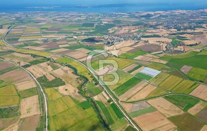 ÇANAKKALE MERKEZ KALAFAT KÖYÜNDE MÜSTAKİL TAPU SATILIK  6266 M2 TARLA