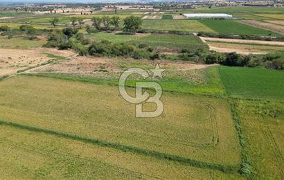 ÇANAKKALE MERKEZ KALAFAT KÖYÜNDE MÜSTAKİL TAPU SATILIK  6266 M2 TARLA