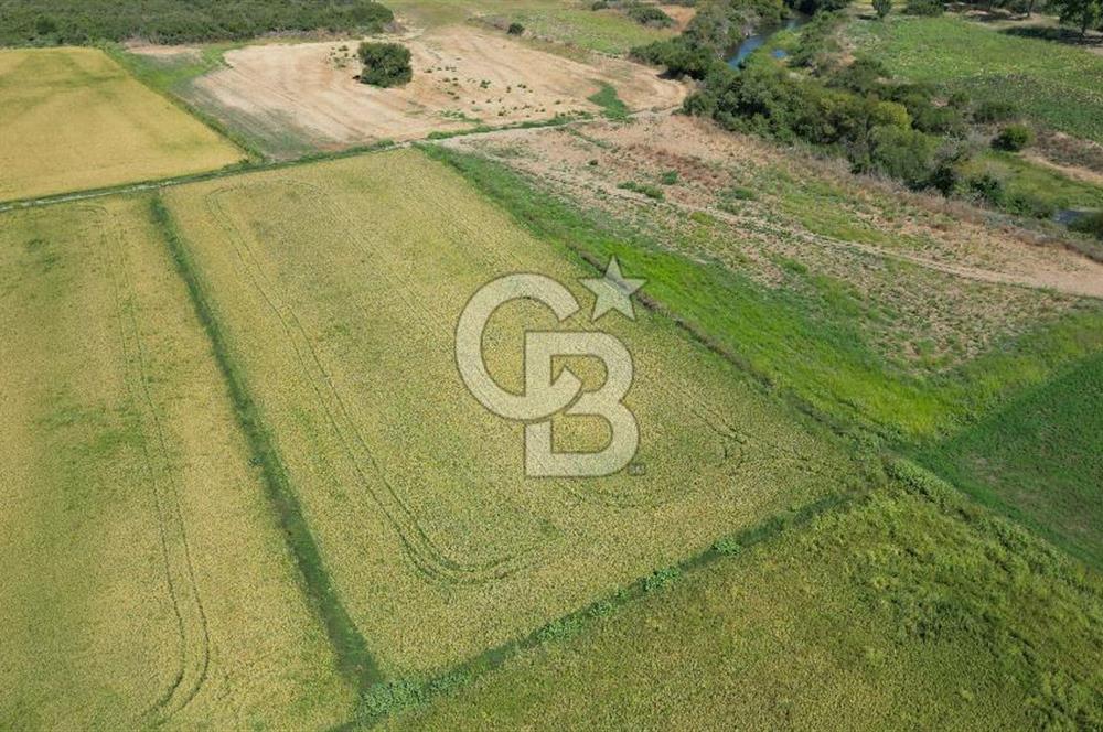 ÇANAKKALE MERKEZ KALAFAT KÖYÜNDE MÜSTAKİL TAPU SATILIK  6266 M2 TARLA