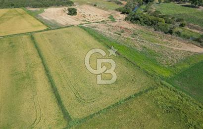 ÇANAKKALE MERKEZ KALAFAT KÖYÜNDE MÜSTAKİL TAPU SATILIK  6266 M2 TARLA