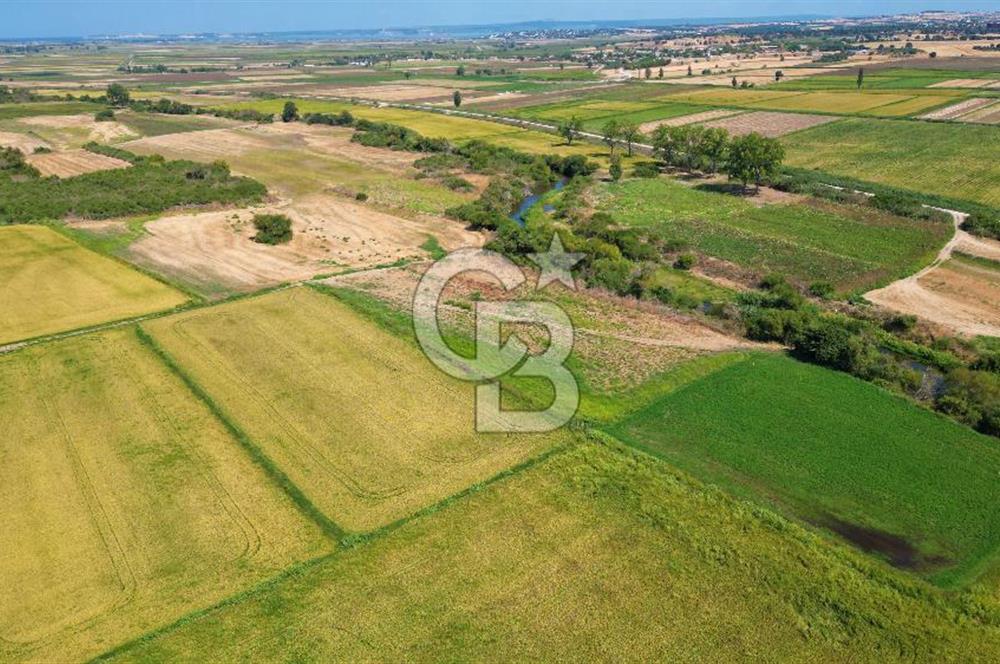 ÇANAKKALE MERKEZ KALAFAT KÖYÜNDE MÜSTAKİL TAPU SATILIK  6266 M2 TARLA