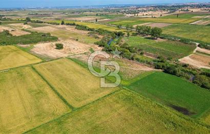 ÇANAKKALE MERKEZ KALAFAT KÖYÜNDE MÜSTAKİL TAPU SATILIK  6266 M2 TARLA