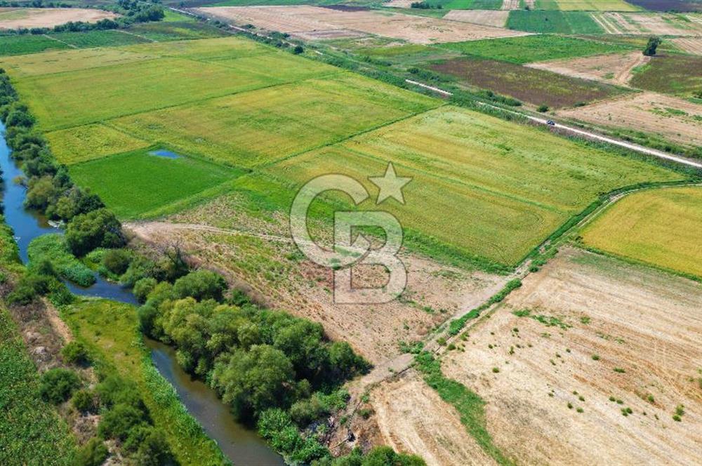 ÇANAKKALE MERKEZ KALAFAT KÖYÜNDE MÜSTAKİL TAPU SATILIK  6266 M2 TARLA