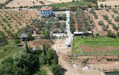 ÇANAKKALE BAYRAMİÇ KAZ DAĞLARI'NDA SATILIK ÇİFTLİK OTEL