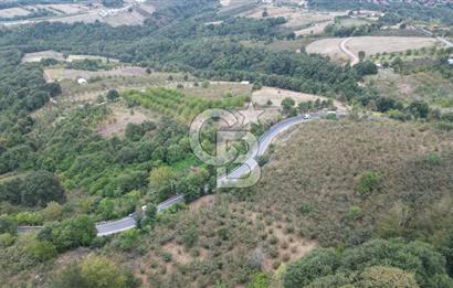 AKMEŞE'DE MANZARALI İÇİNDE BAĞ EVİ İLE BERABER 2.444 M2 ARAZİ