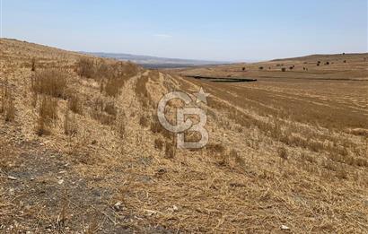 Ayaş Gökler’de Satılık Tek Tapulu 19.476 m2 Tarla …