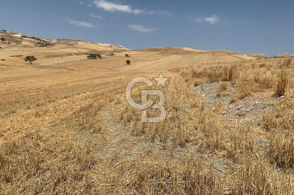 Ayaş Gökler’de Satılık Tek Tapulu 19.476 m2 Tarla …