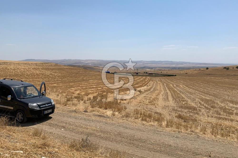 Ayaş Gökler’de Satılık Tek Tapulu 19.476 m2 Tarla …