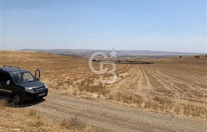 Ayaş Gökler’de Satılık Tek Tapulu 19.476 m2 Tarla …