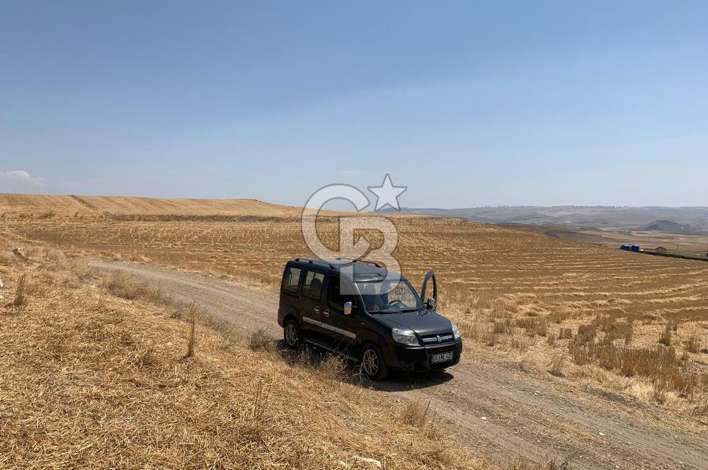 Ayaş Gökler’de Satılık Tek Tapulu 19.476 m2 Tarla …