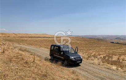 Ayaş Gökler’de Satılık Tek Tapulu 19.476 m2 Tarla …