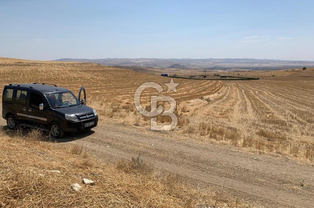 Ayaş Gökler’de Satılık Tek Tapulu 19.476 m2 Tarla …