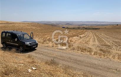 Ayaş Gökler’de Satılık Tek Tapulu 19.476 m2 Tarla …