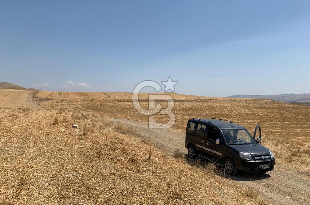 Ayaş Gökler’de Satılık Tek Tapulu 19.476 m2 Tarla …