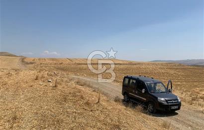 Ayaş Gökler’de Satılık Tek Tapulu 19.476 m2 Tarla …