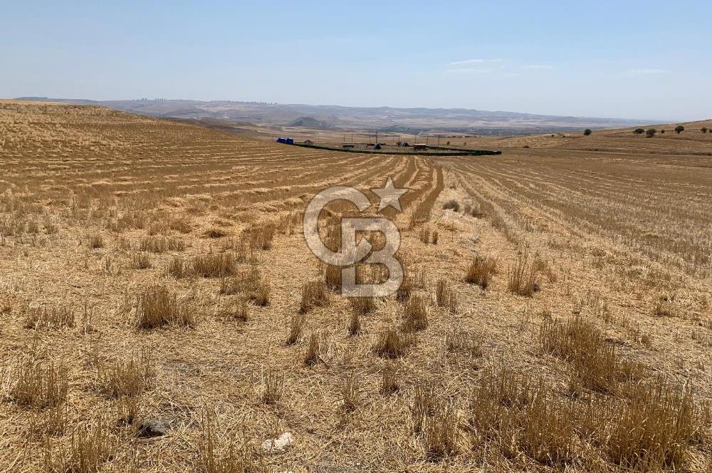 Ayaş Gökler’de Satılık Tek Tapulu 19.476 m2 Tarla …