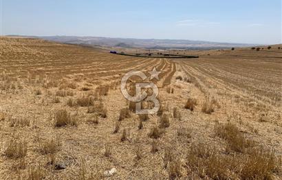 Ayaş Gökler’de Satılık Tek Tapulu 19.476 m2 Tarla …