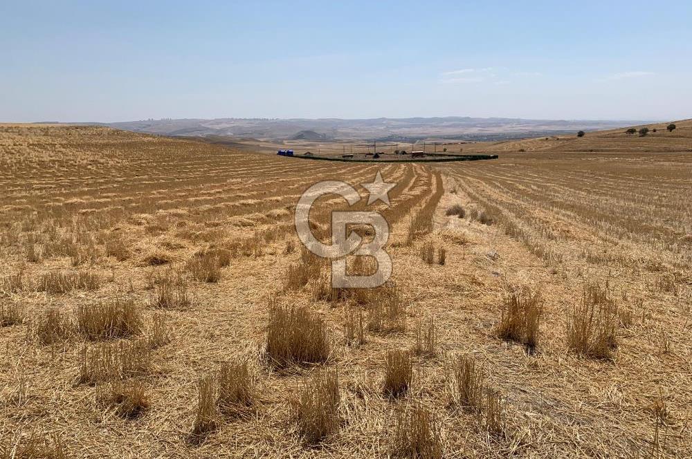 Ayaş Gökler’de Satılık Tek Tapulu 19.476 m2 Tarla …