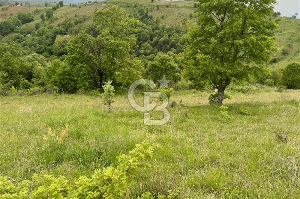 ÇANAKKALE YENİCE KARADORU KÖYÜNDE SATILIK TARLA