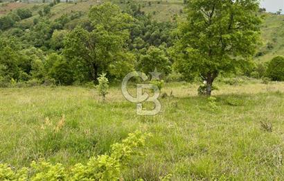 ÇANAKKALE YENİCE KARADORU KÖYÜNDE SATILIK TARLA