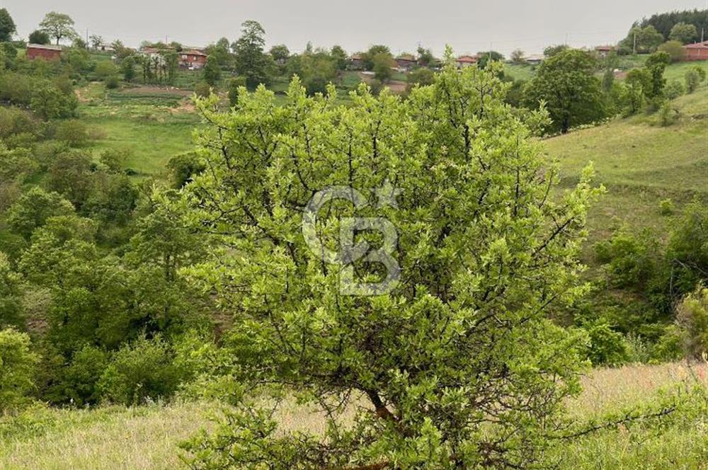 ÇANAKKALE YENİCE KARADORU KÖYÜNDE SATILIK TARLA