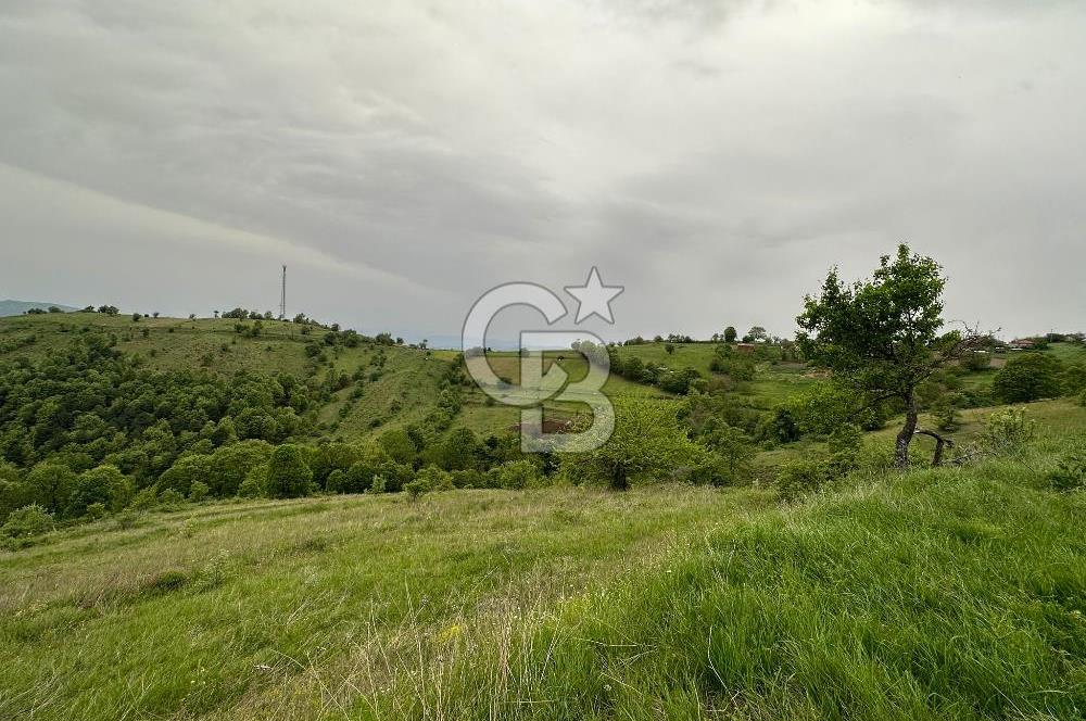 ÇANAKKALE YENİCE KARADORU KÖYÜNDE SATILIK TARLA