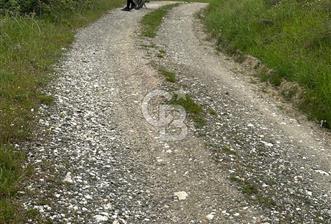 ÇANAKKALE YENİCE KARADORU KÖYÜNDE SATILIK TARLA