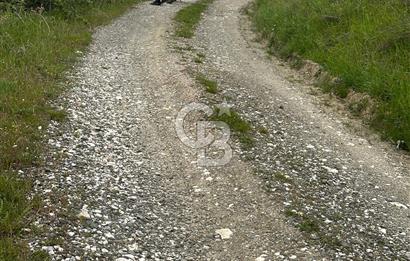 ÇANAKKALE YENİCE KARADORU KÖYÜNDE SATILIK TARLA