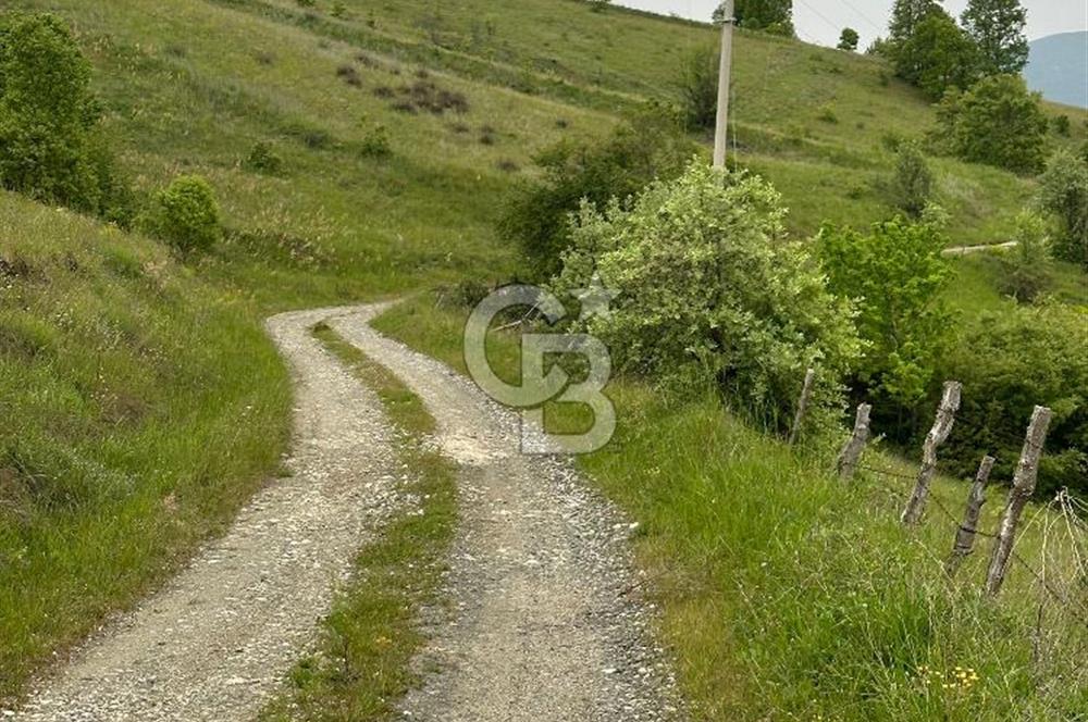 ÇANAKKALE YENİCE KARADORU KÖYÜNDE SATILIK TARLA