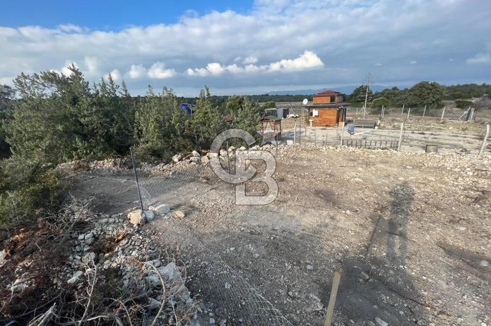 ÇEŞME PIRLANTA PLAJI'NA 600 MT. MESAFEDE SATILIK ARSA