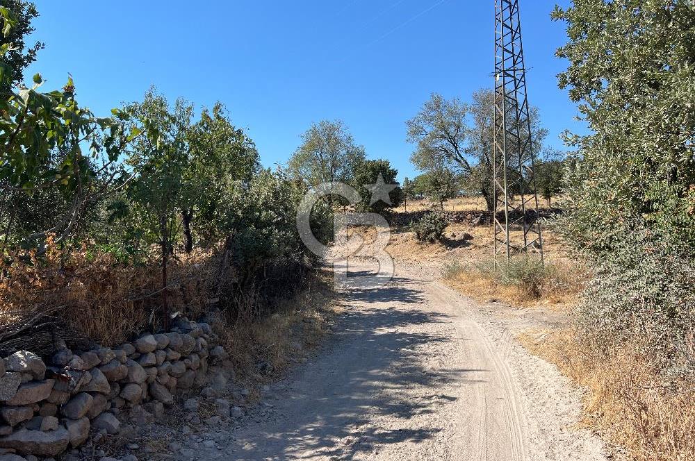 AYVACIK ÇANAKKALE KÖY İÇİ İMARLI ARSA