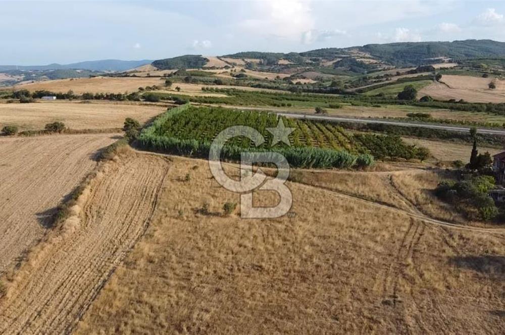 ÇANAKKALE LAPSEKİ ÇARDAK DOĞA VE DENİZ MANZARALI SATILIK ARSA