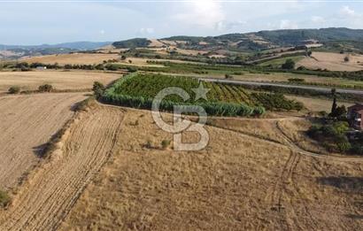 ÇANAKKALE LAPSEKİ ÇARDAK DOĞA VE DENİZ MANZARALI SATILIK ARSA