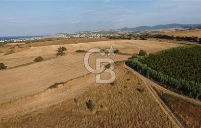 ÇANAKKALE LAPSEKİ ÇARDAK DOĞA VE DENİZ MANZARALI SATILIK ARSA