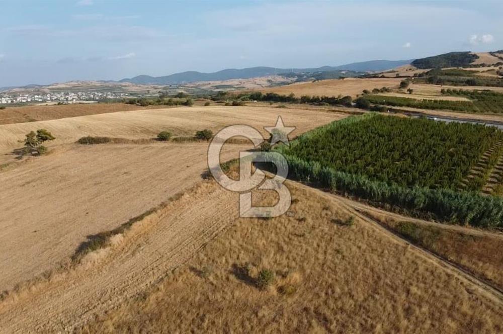 ÇANAKKALE LAPSEKİ ÇARDAK DOĞA VE DENİZ MANZARALI SATILIK ARSA