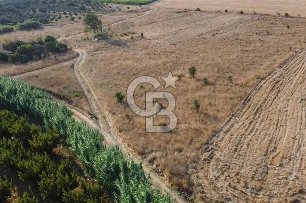 ÇANAKKALE LAPSEKİ ÇARDAK DOĞA VE DENİZ MANZARALI SATILIK ARSA