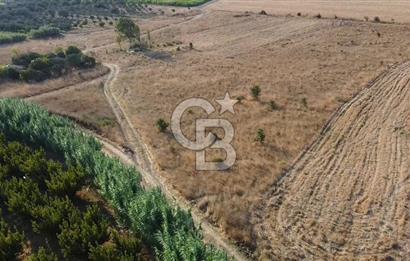 ÇANAKKALE LAPSEKİ ÇARDAK DOĞA VE DENİZ MANZARALI SATILIK ARSA